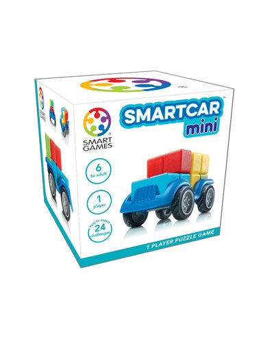Smart Car Mini