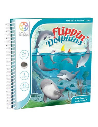 Magnetic Travels: Flippin dolphins