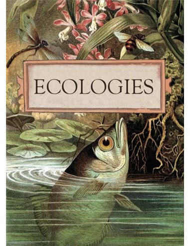 Ecologies 