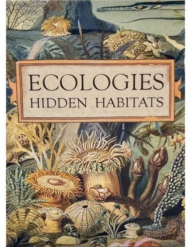 Ecologies Hidden Habitats 