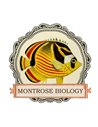 Montrose Biology