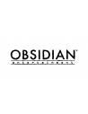 Obsidian Entertainments